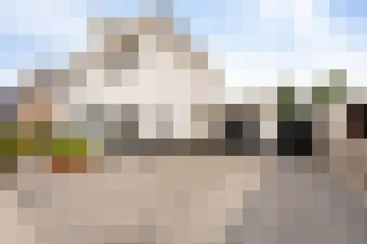 Koploper 20 Kampen thumbnail 15