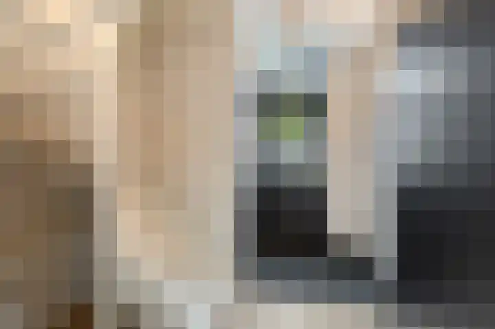 Koploper 20 Kampen thumbnail 18