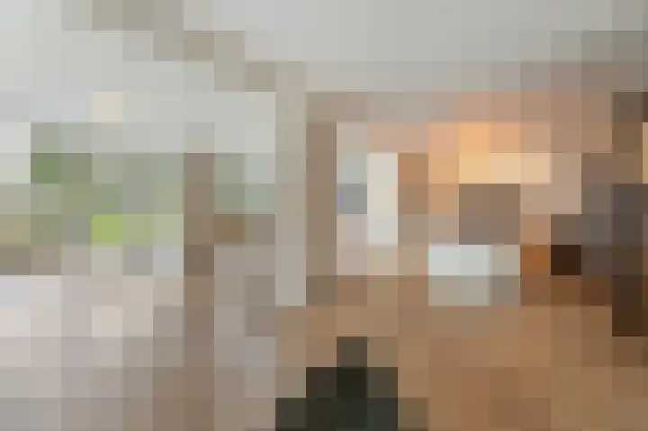 Koploper 20 Kampen thumbnail 24