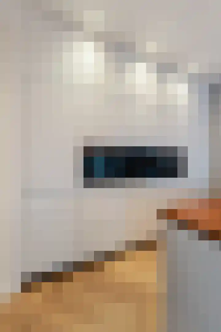 Koploper 20 Kampen thumbnail 35