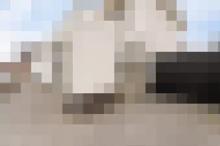 Koploper 20 Kampen thumbnail 40