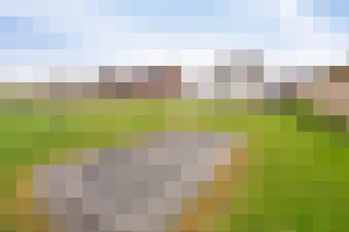 Koploper 20 Kampen thumbnail 50