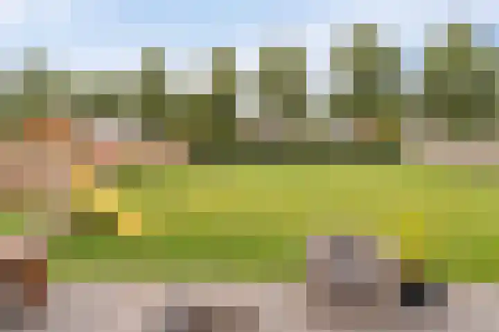 Koploper 20 Kampen thumbnail 51