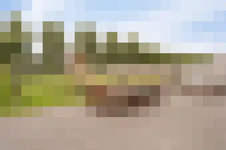 Koploper 20 Kampen thumbnail 52