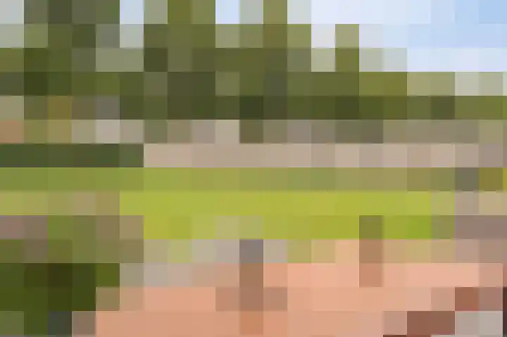 Koploper 20 Kampen thumbnail 54