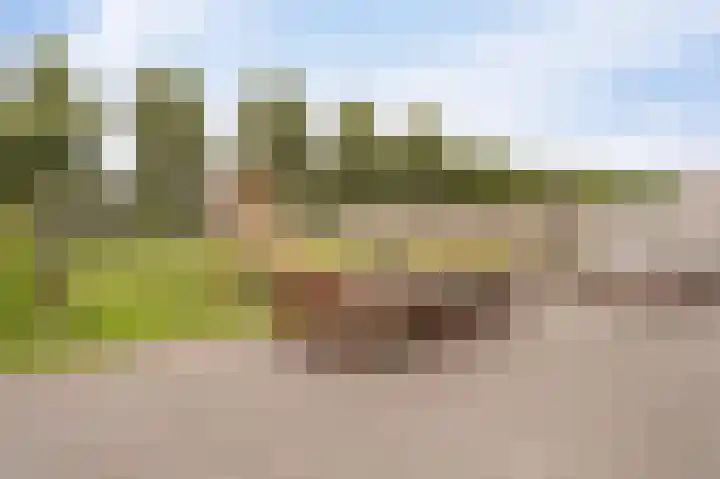 Koploper 20 Kampen thumbnail 7