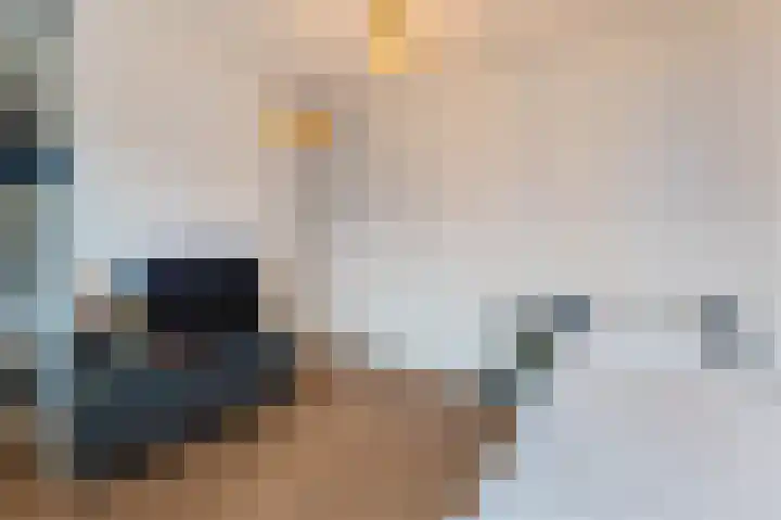 Koploper 20 Kampen thumbnail 70