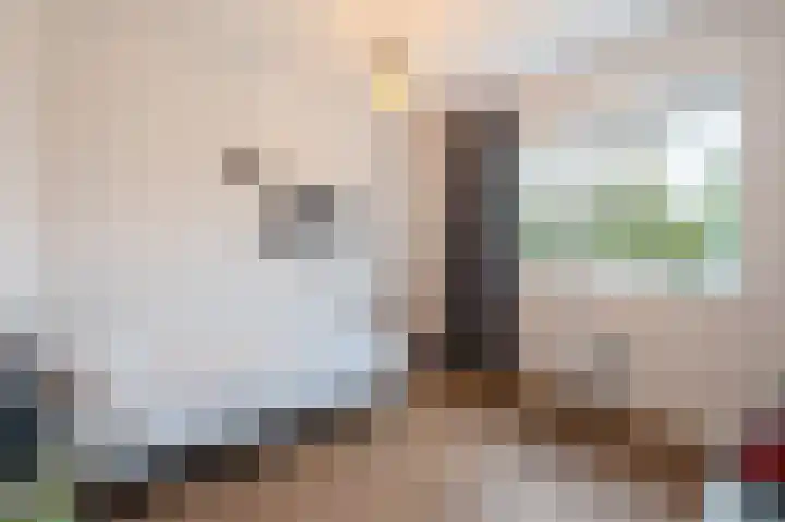 Koploper 20 Kampen thumbnail 71