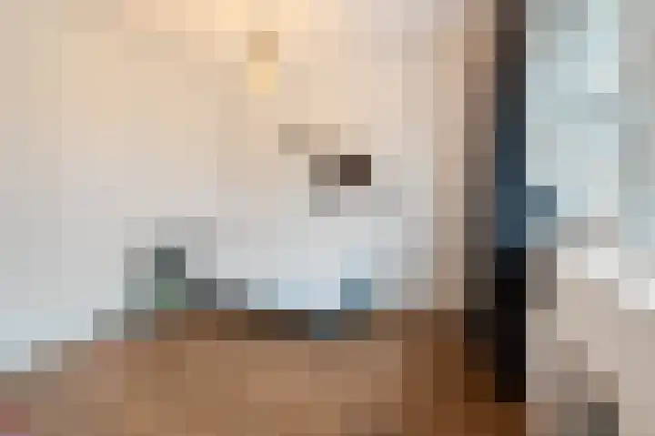 Koploper 20 Kampen thumbnail 73