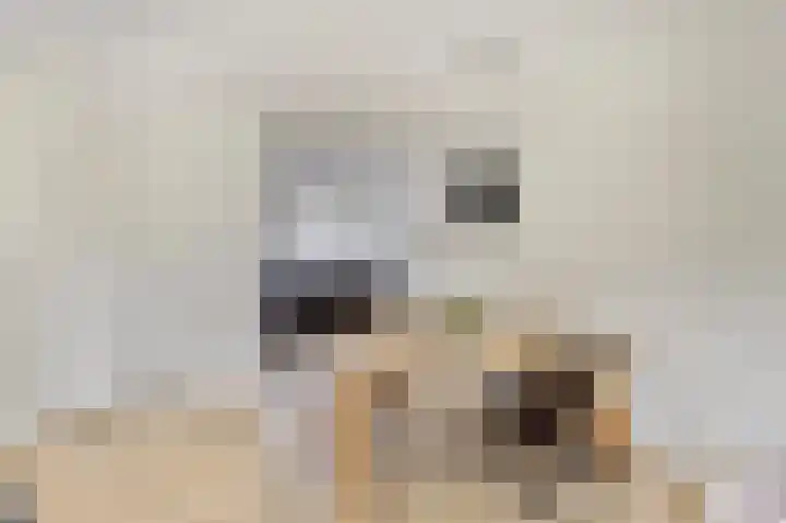 Koploper 9 Kampen thumbnail 14