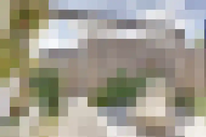 Koploper 9 Kampen thumbnail 30