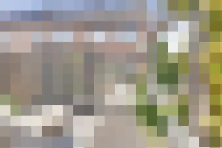 Koploper 9 Kampen thumbnail 31