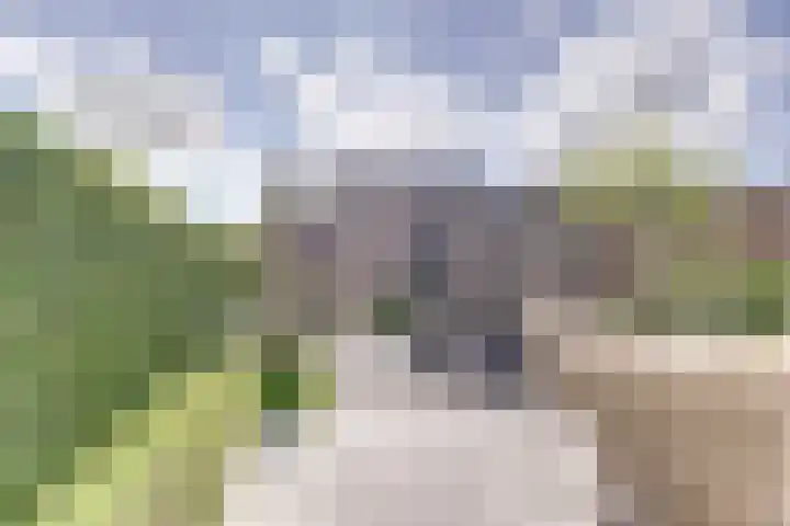 Koploper 9 Kampen thumbnail 4
