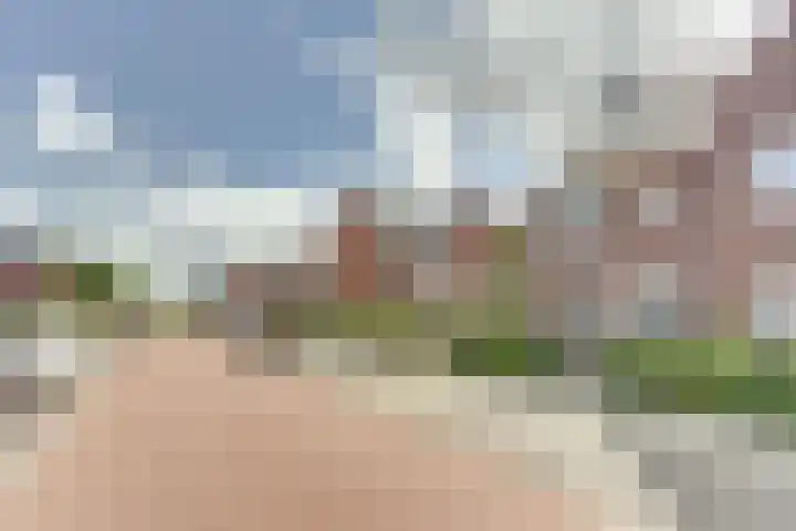 Koploper 9 Kampen thumbnail 6