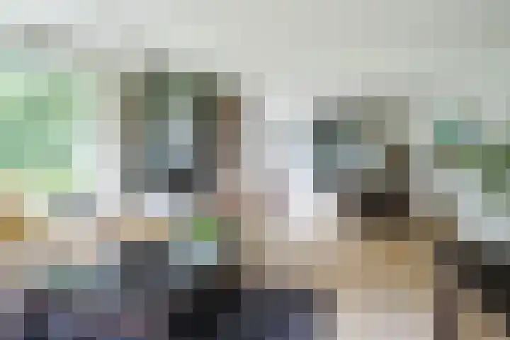 Koppelen 22 Steensel thumbnail 11