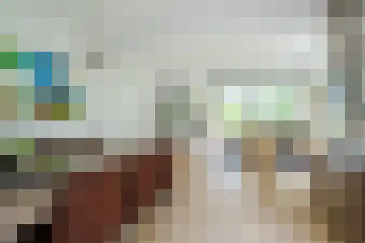 Koppelen 22 Steensel thumbnail 13