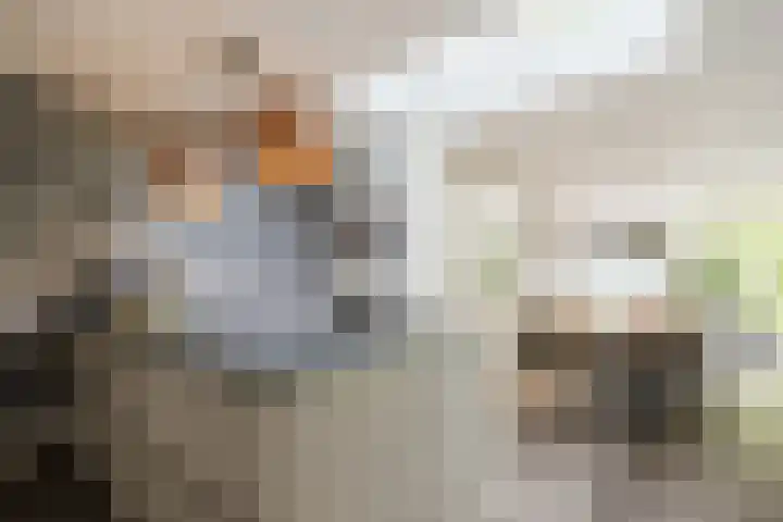 Koppelen 22 Steensel thumbnail 16