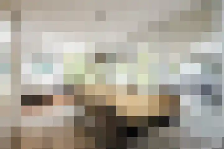 Koppelen 22 Steensel thumbnail 18