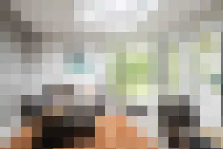 Koppelen 22 Steensel thumbnail 19