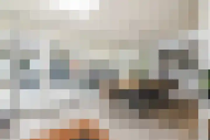 Koppelen 22 Steensel thumbnail 21