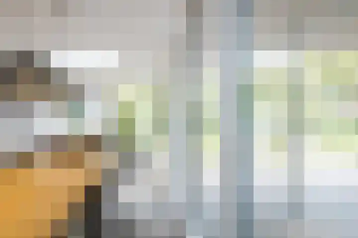 Koppelen 22 Steensel thumbnail 22