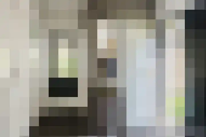 Koppelen 22 Steensel thumbnail 28
