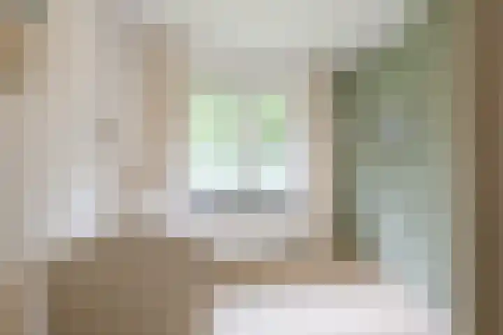 Koppelen 22 Steensel thumbnail 32