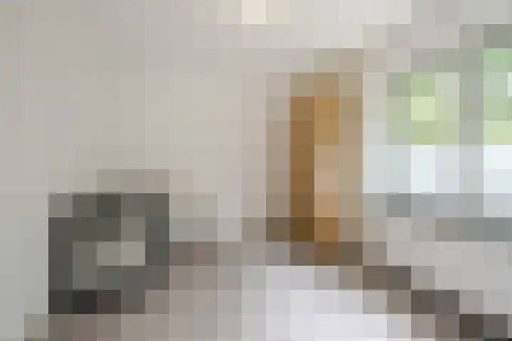 Koppelen 22 Steensel thumbnail 34