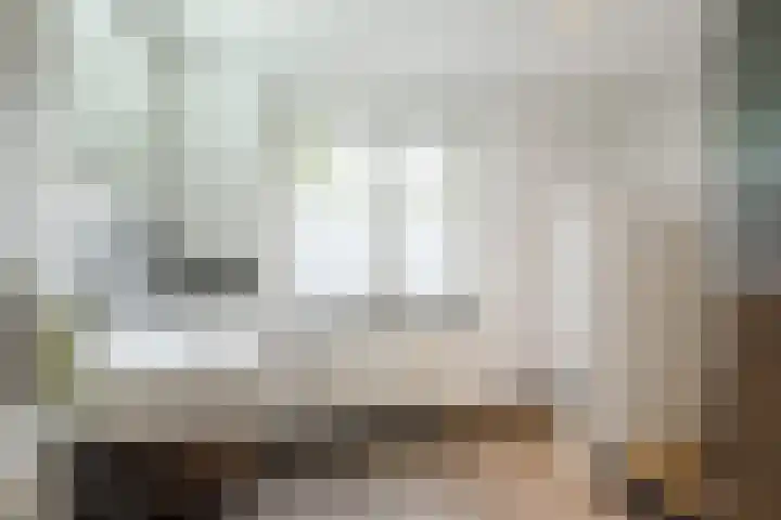 Koppelen 22 Steensel thumbnail 36