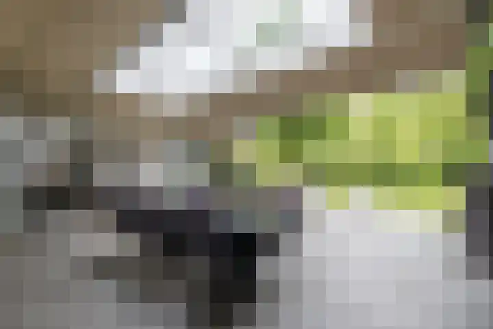 Koppelen 22 Steensel thumbnail 46