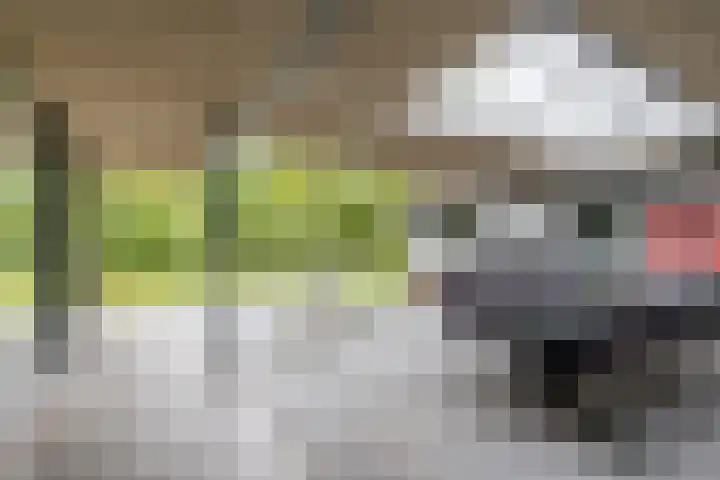 Koppelen 22 Steensel thumbnail 47