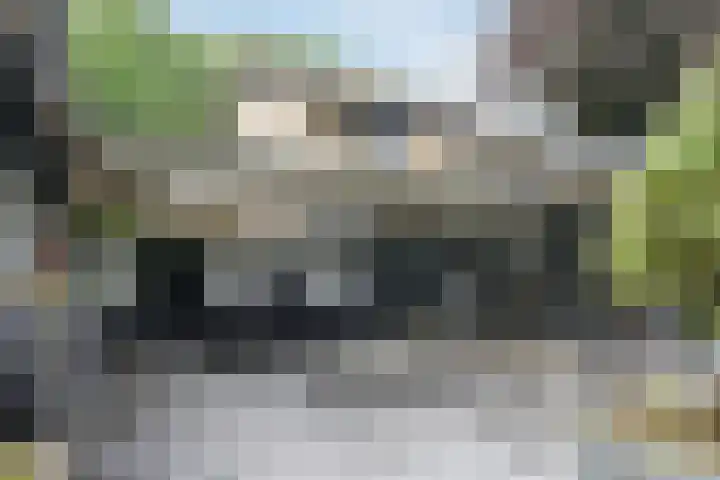 Koppelen 22 Steensel thumbnail 48