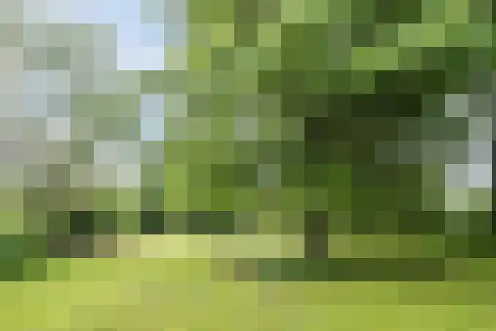 Koppelen 22 Steensel thumbnail 53