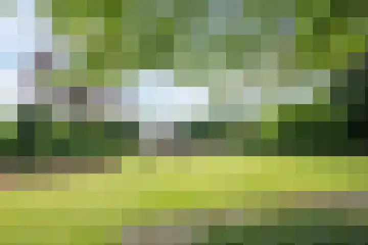 Koppelen 22 Steensel thumbnail 54