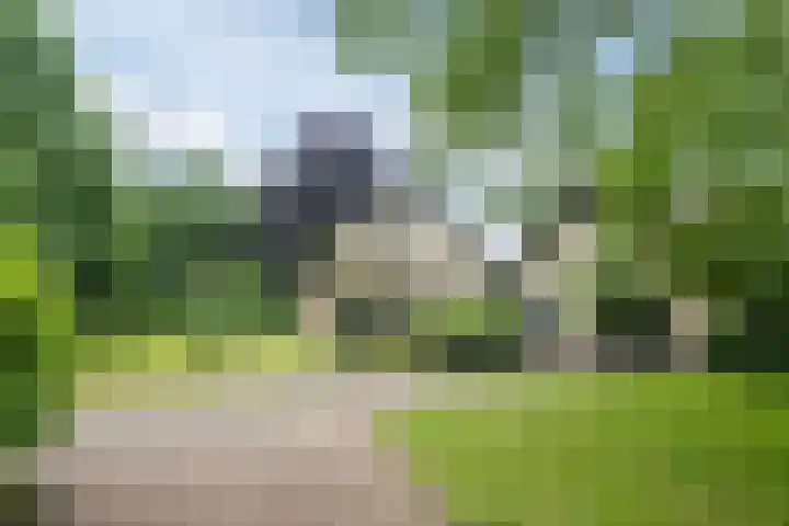 Koppelen 22 Steensel thumbnail 7