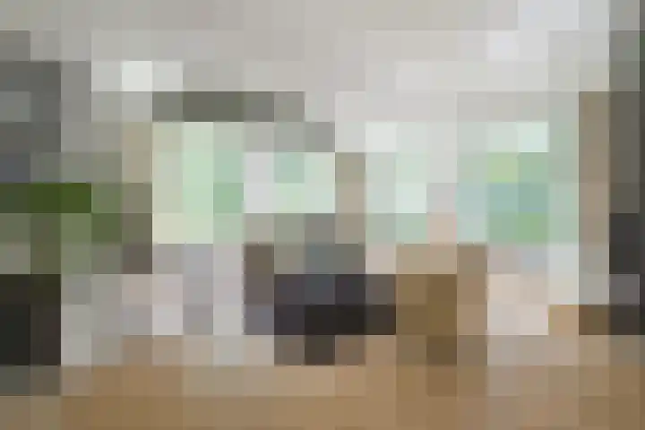 Koppelen 22 Steensel thumbnail 9