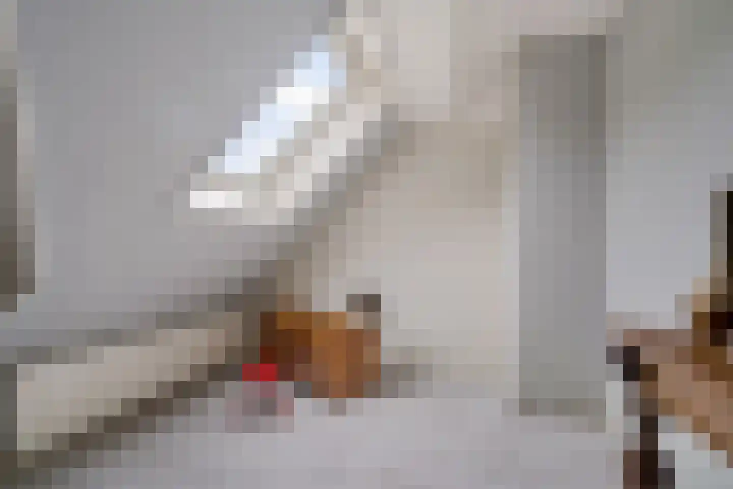 Koppelenburgerweg 15 Brummen thumbnail 30