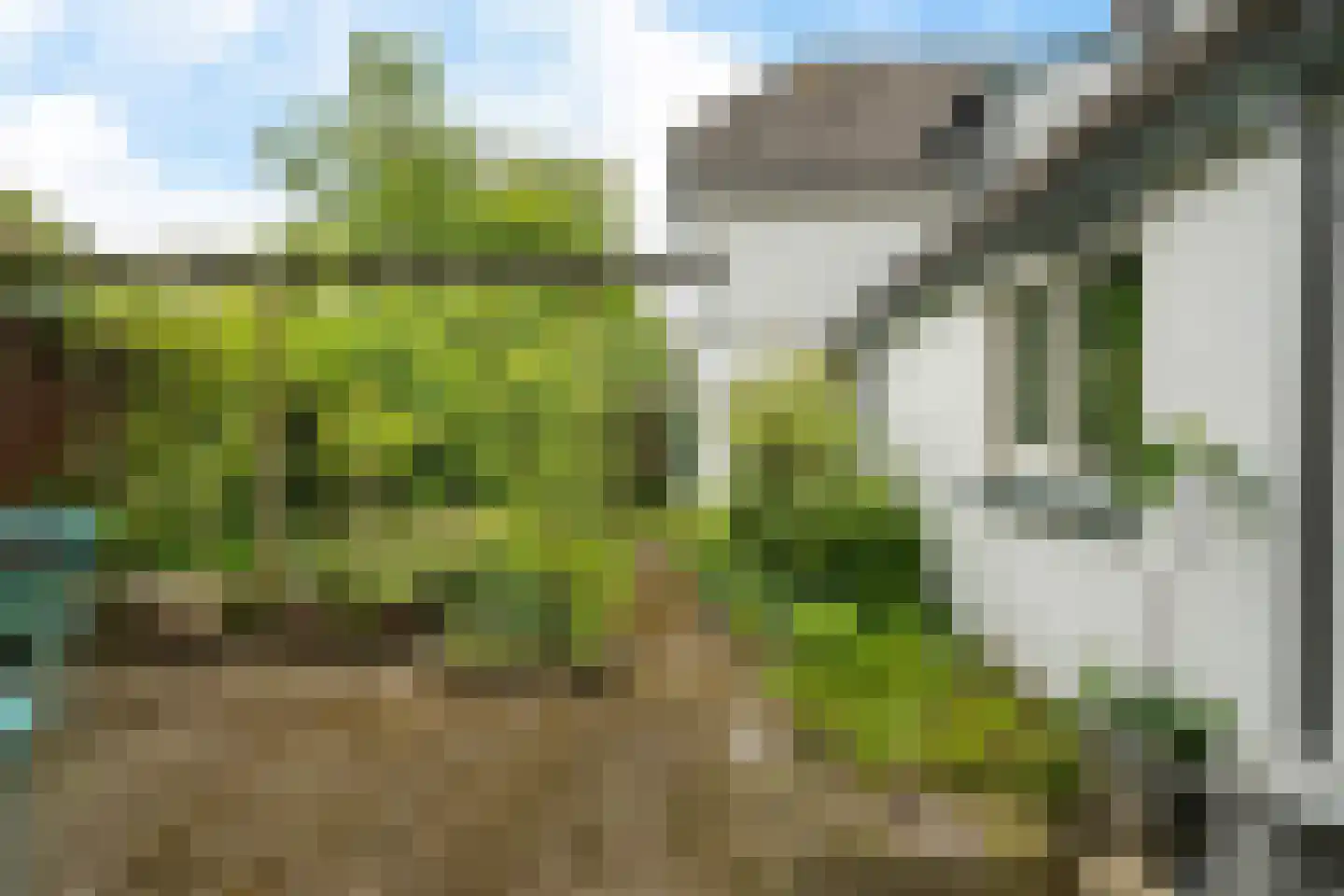 Koppelenburgerweg 15 Brummen thumbnail 36