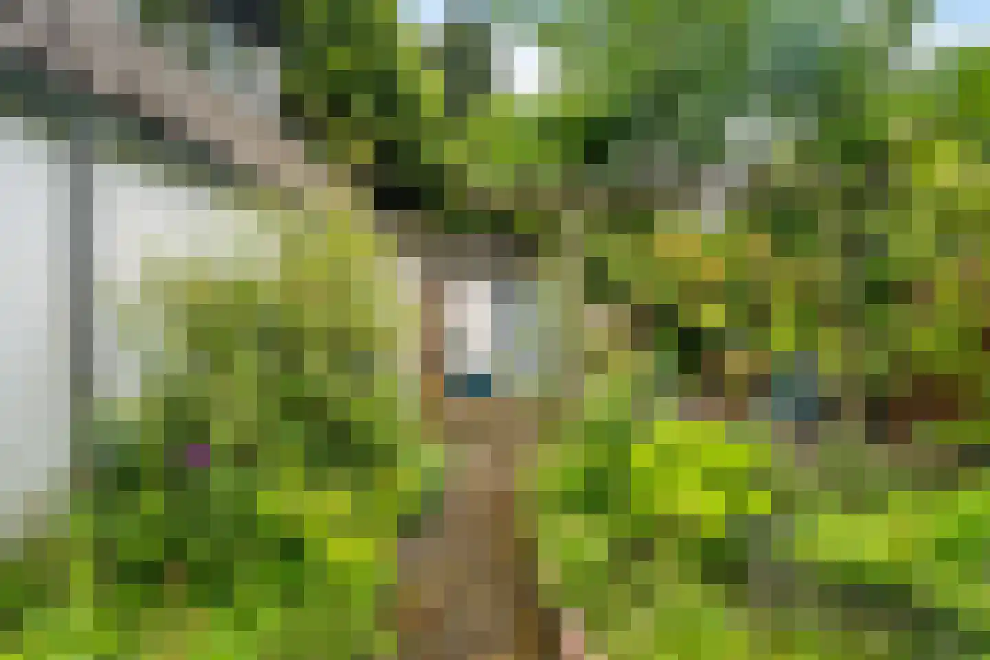 Koppelenburgerweg 15 Brummen thumbnail 37