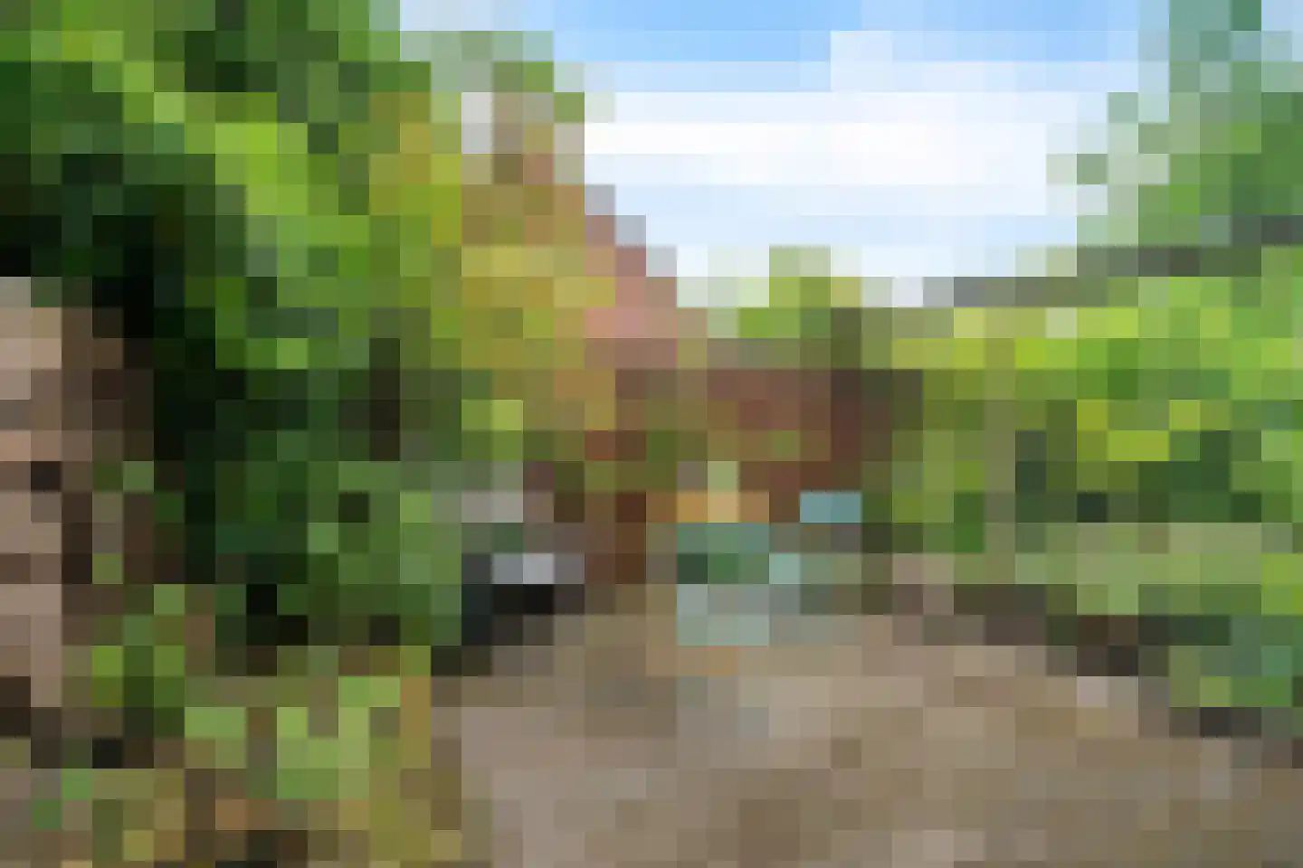 Koppelenburgerweg 15 Brummen thumbnail 38