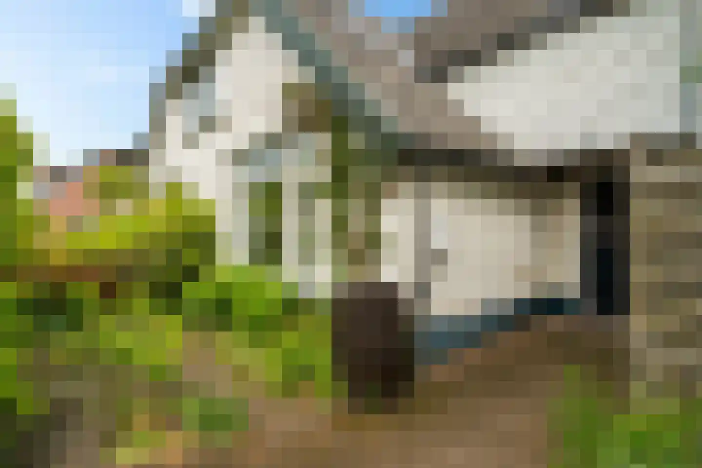 Koppelenburgerweg 15 Brummen thumbnail 39