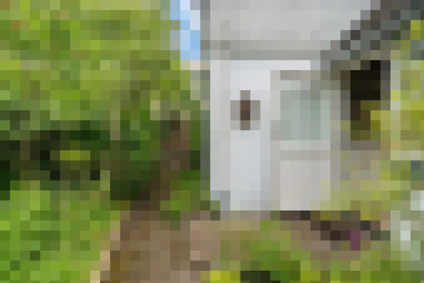 Koppelenburgerweg 15 Brummen thumbnail 40