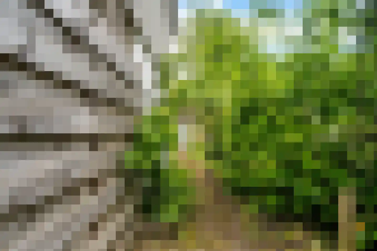 Koppelenburgerweg 15 Brummen thumbnail 41