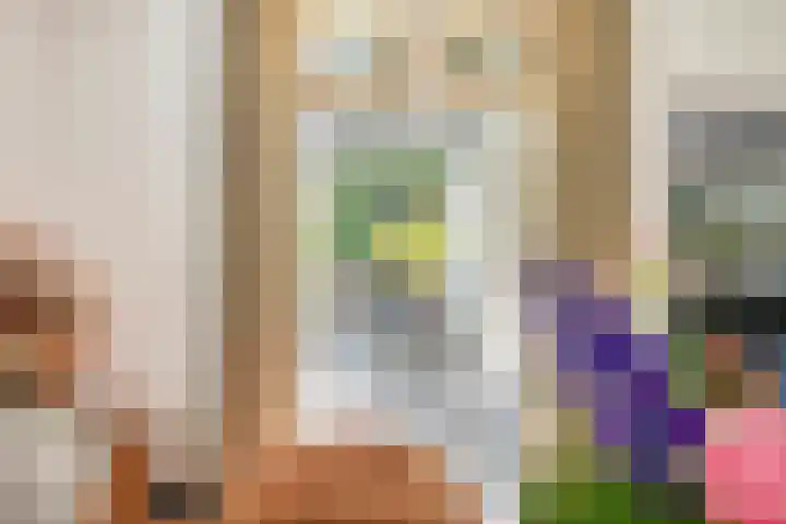 Koppellaan 2 Hardenberg thumbnail 11