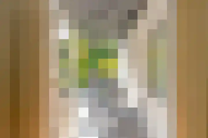 Koppellaan 2 Hardenberg thumbnail 12