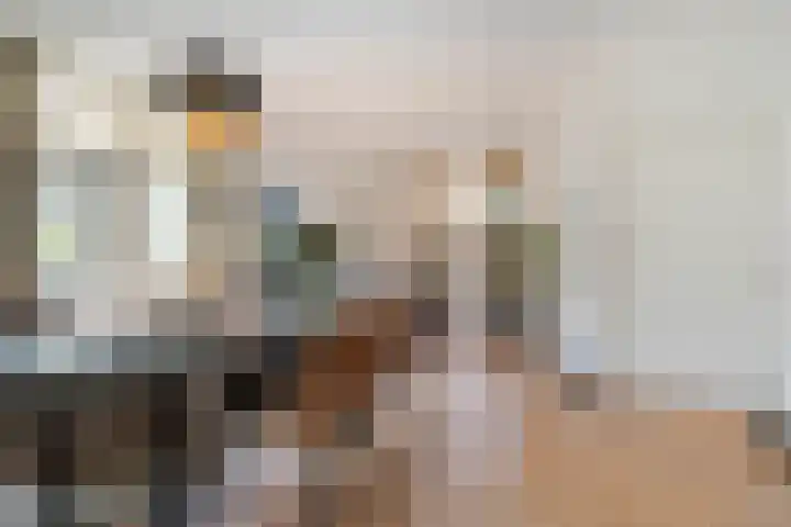 Koppellaan 2 Hardenberg thumbnail 13