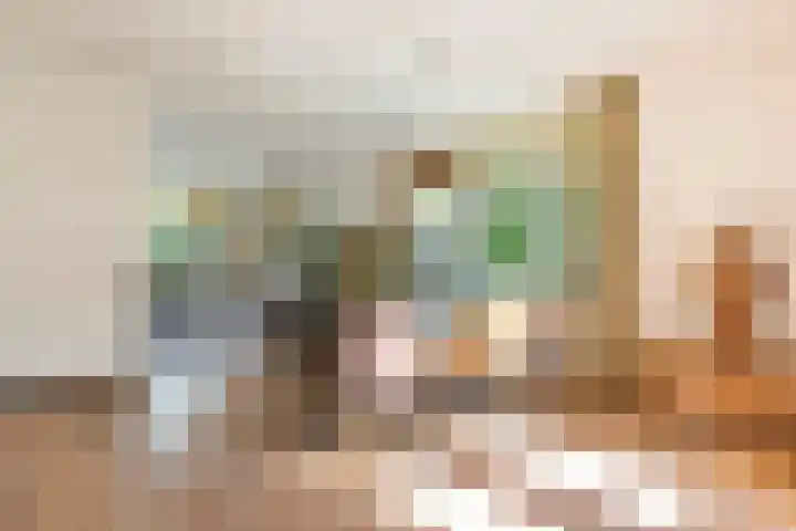 Koppellaan 2 Hardenberg thumbnail 14