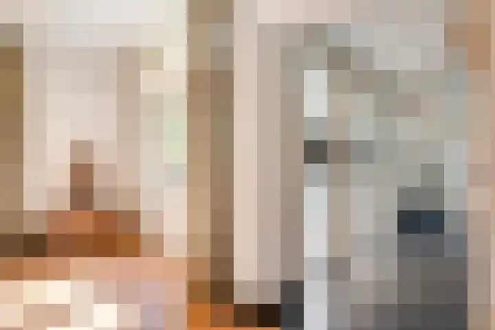 Koppellaan 2 Hardenberg thumbnail 16