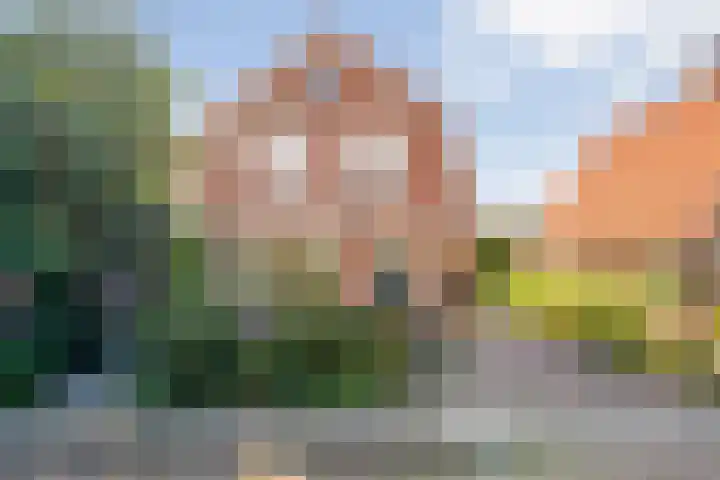 Koppellaan 2 Hardenberg foto 2