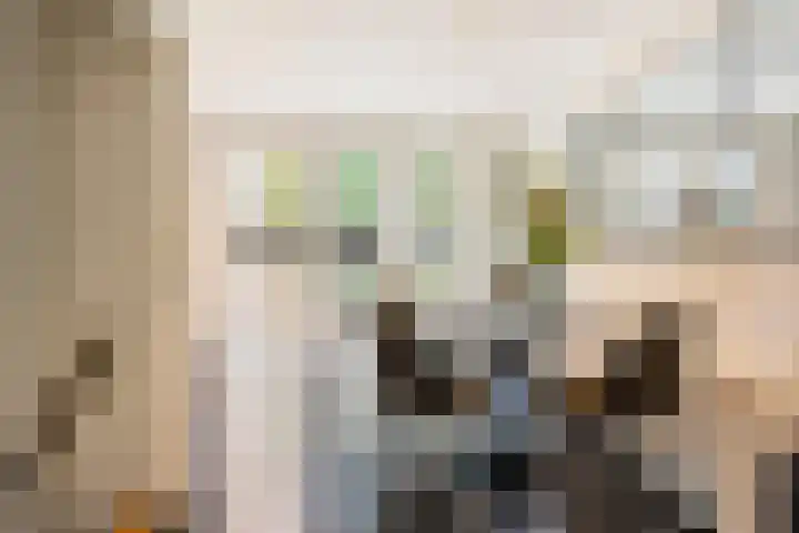 Koppellaan 2 Hardenberg thumbnail 22
